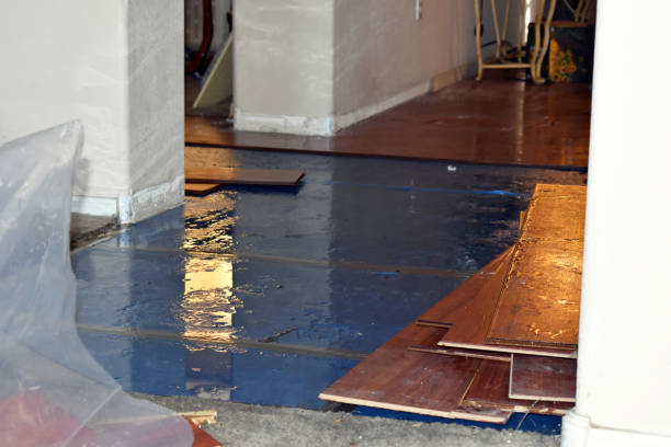 Professional Water Damage technician working in Lexington, MI