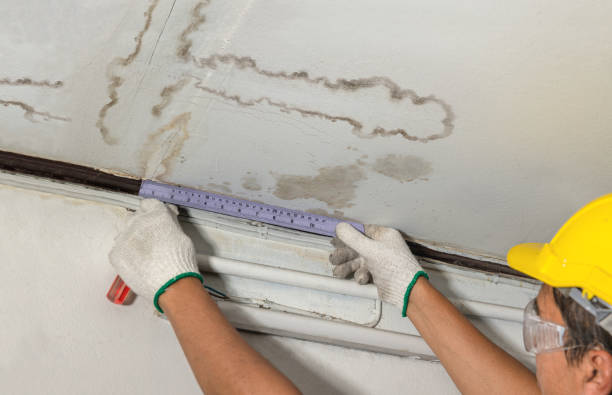 Reliable Water Damage contractor in Lexington, MI by Water Damage Irwin